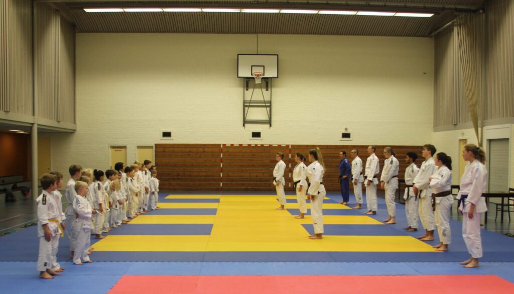 28 november 2020 onderling Randori judo toernooi